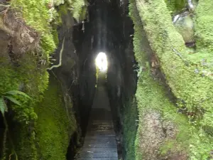 Tunnel Terrace Walk