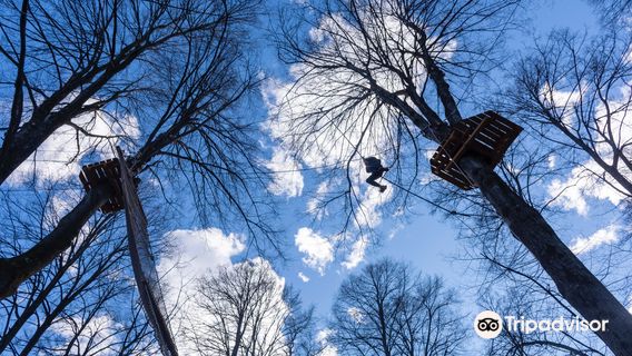 Lake Como Adventure Park