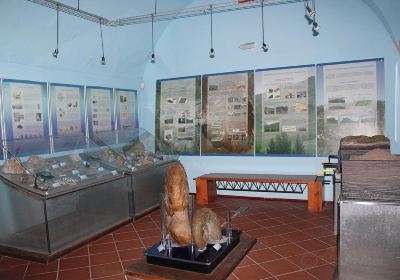 Museo Civico Antonio Collisani