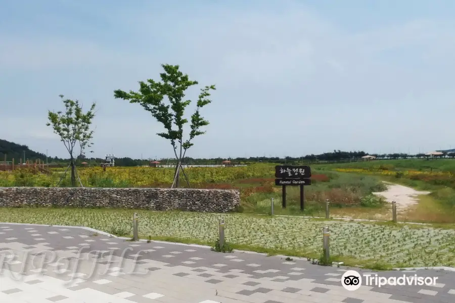 Incheon International Airport Sky Garden