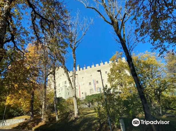 Lienz