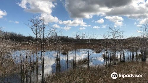 Grassy Waters Nature Preserve