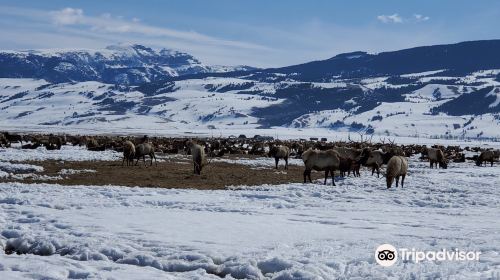 National Elk Refuge