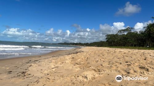 Itacimirim Beach