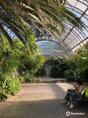 Greenhouse Tauride Gardens