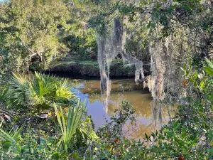 Turkey Creek Sanctuary