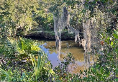 Turkey Creek Sanctuary