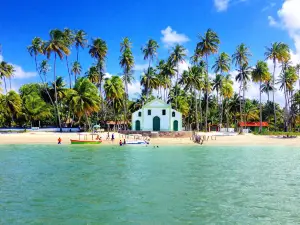 Praia dos Carneiros - Pernambuco