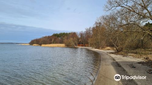 Lake Żarnowiec