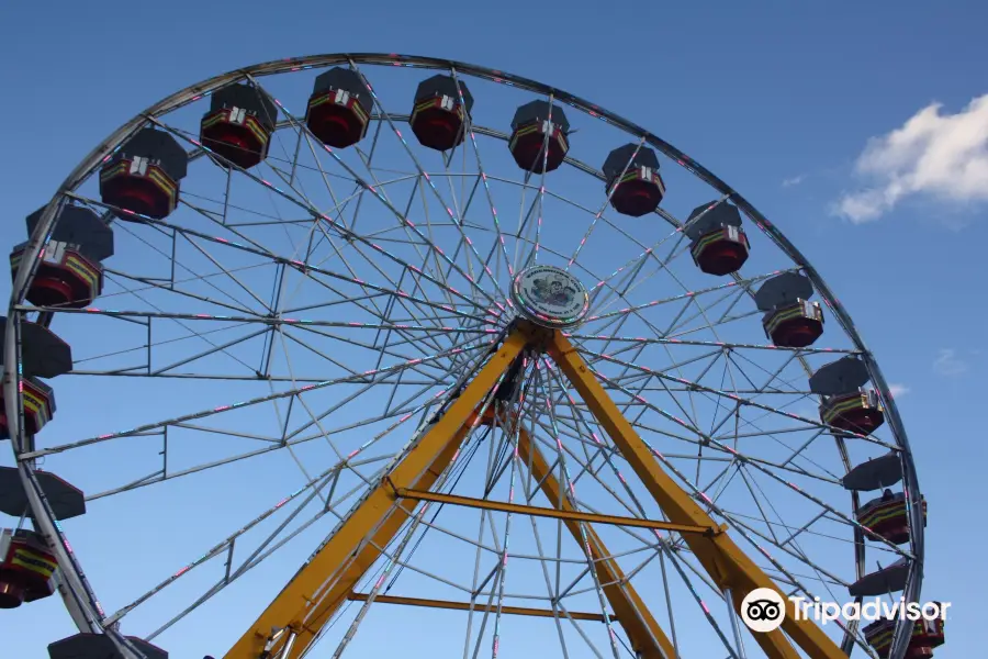 New York State Fairgrounds