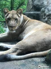 亨利維拉斯動物園