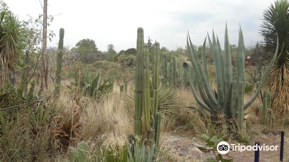 Huayamilpas Ecological Park