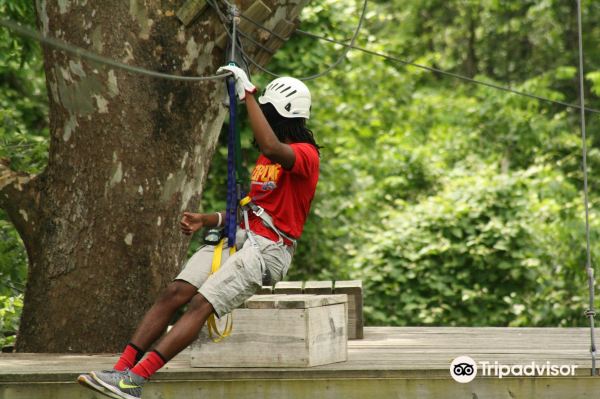 Zipline USA