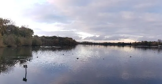 Aldenham Country Park