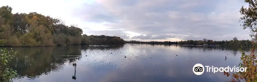 Aldenham Country Park