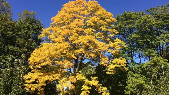 Wilkens Fruit & Fir Farm