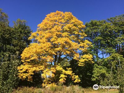 Wilkens Fruit & Fir Farm