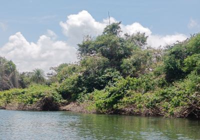 Ranganatittu Bird Sanctuary