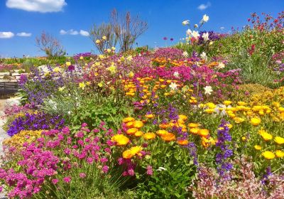 Sandown Castle Community Garden