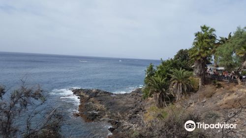 Playa de Torviscas