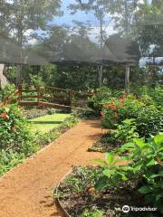 Mariposario Tambopata