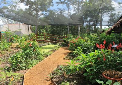 Mariposario Tambopata