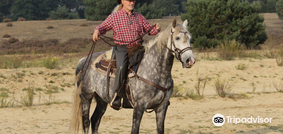 Things to Do in Balen in 2025 Top Attractions, Local Food, Hotels