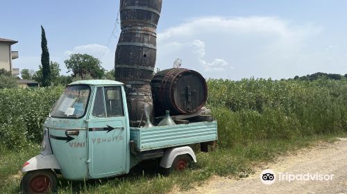 Winery Fattoria Cantagallo