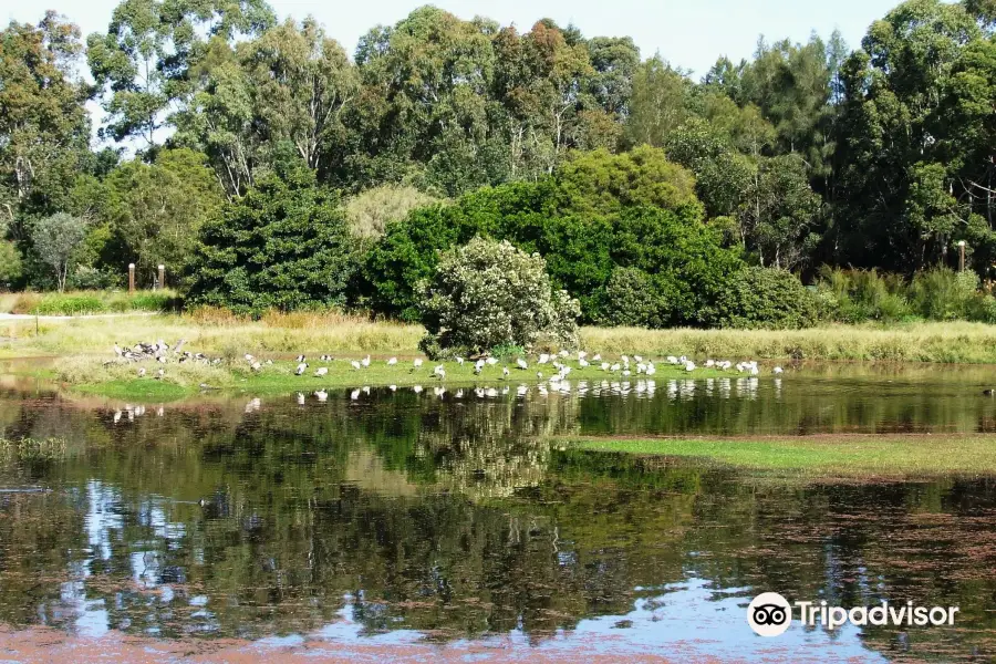 Hunter Wetlands Centre Australia
