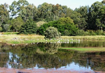 Hunter Wetlands Centre Australia