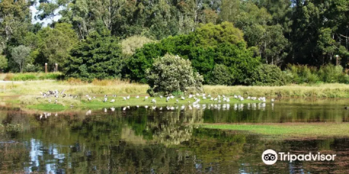 Hunter Wetlands Centre