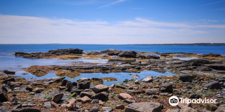 Brenton Point State Park