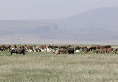 Abidjatta-Shalla National Park