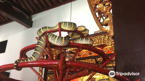 蛇廟