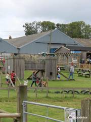 Hadleigh Farm - Rare Breeds Centre