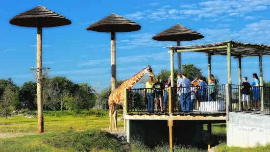 Tanganyika Wildlife Park