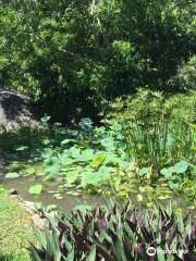 Acapulco Botanical Garden (Jardin Botanico de Acapulco)