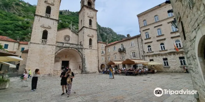 科托爾主教座堂