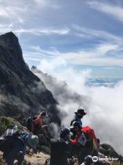 Mount Kinabalu Botanical Garden