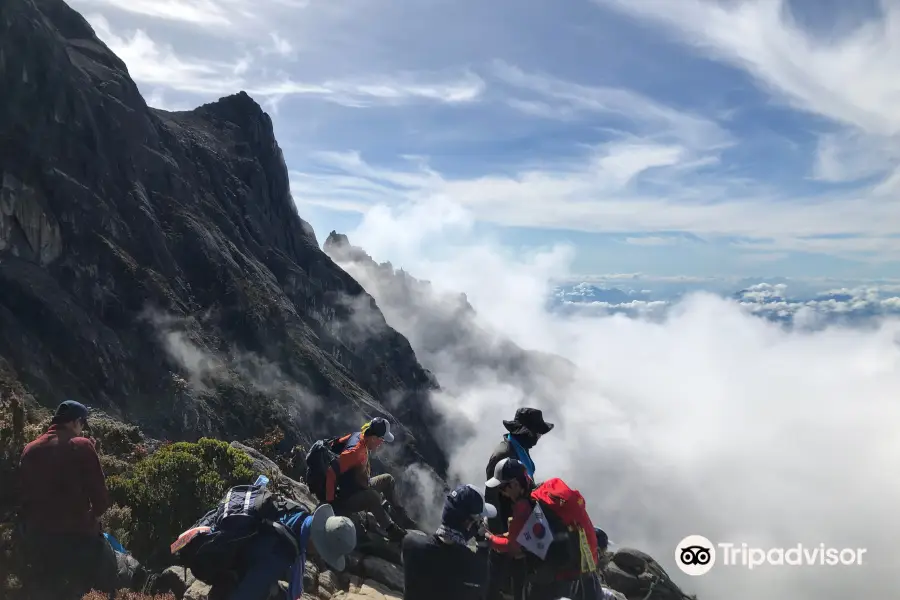 Mount Kinabalu Botanical Garden