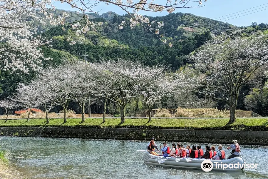 那賀川堤桜並木