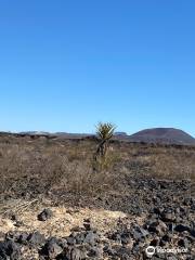 Cinder Cones, Lava Flows, and Lava Tube