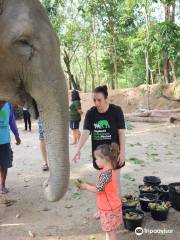 Phuket Kathu Elephant Sanctuary