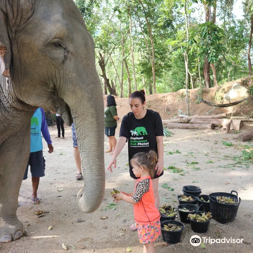 2_Phuket Kathu Elephant Sanctuary