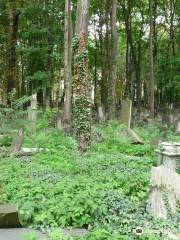 Cimetière juif de la Schönhauser Allee