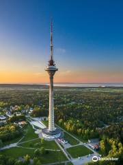 Tallinn TV Tower