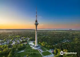 Tallinn TV Tower