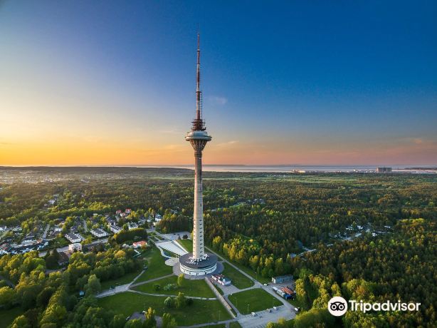 Tallinna Teletorn