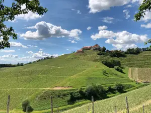 Staufenberg Castle