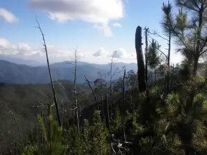 Parque Nacional Jose Armando Bermúdez